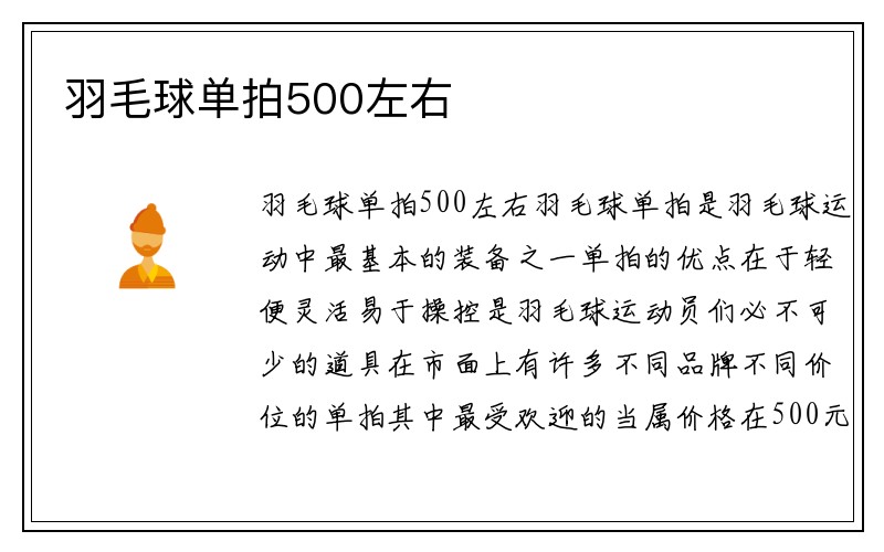 羽毛球单拍500左右