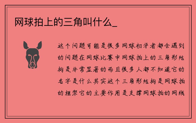 网球拍上的三角叫什么_