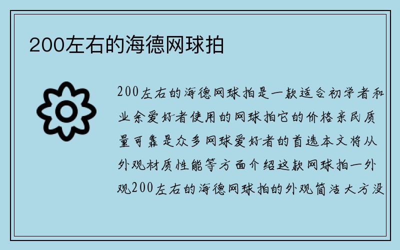 200左右的海德网球拍